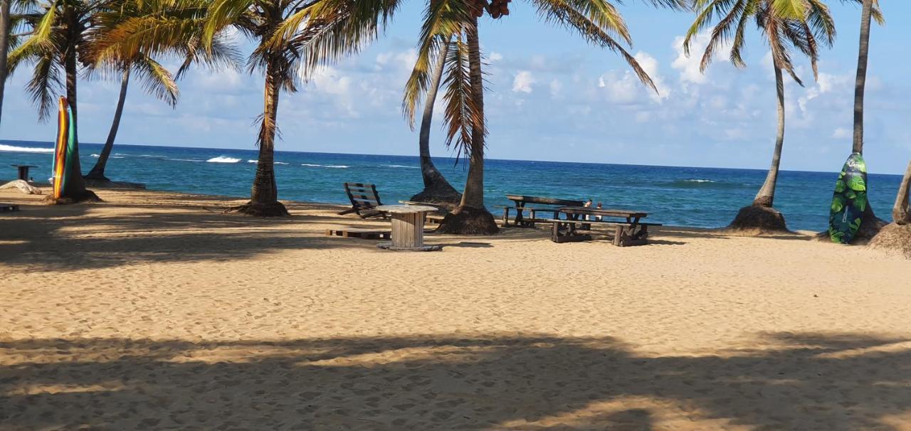 Puntacana Ecolodge Lavacama Beach Costa Arrecife By Aa Crypto Group Punta Cana Ngoại thất bức ảnh