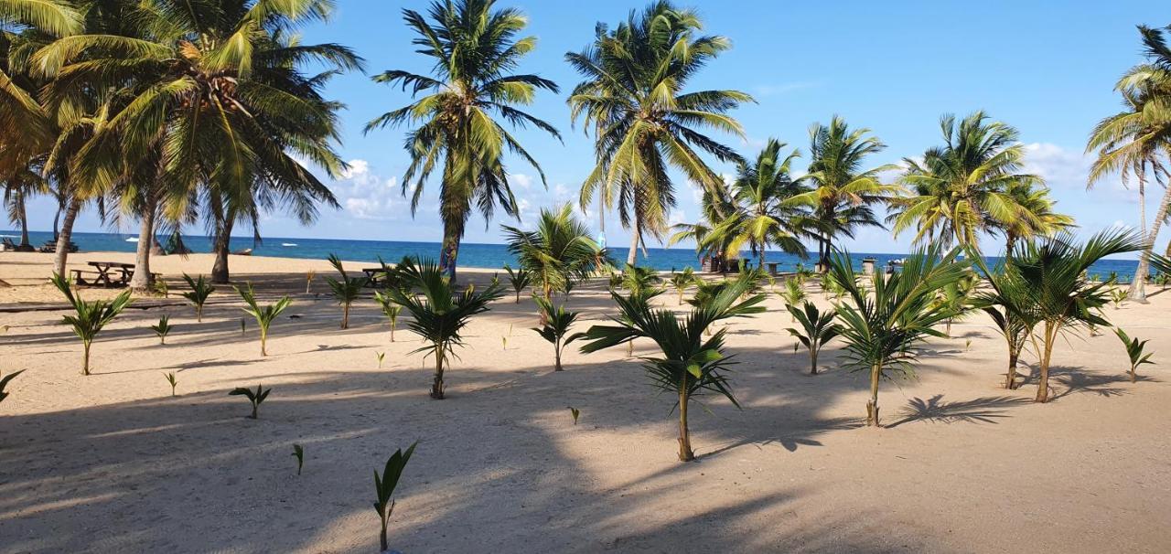 Puntacana Ecolodge Lavacama Beach Costa Arrecife By Aa Crypto Group Punta Cana Ngoại thất bức ảnh