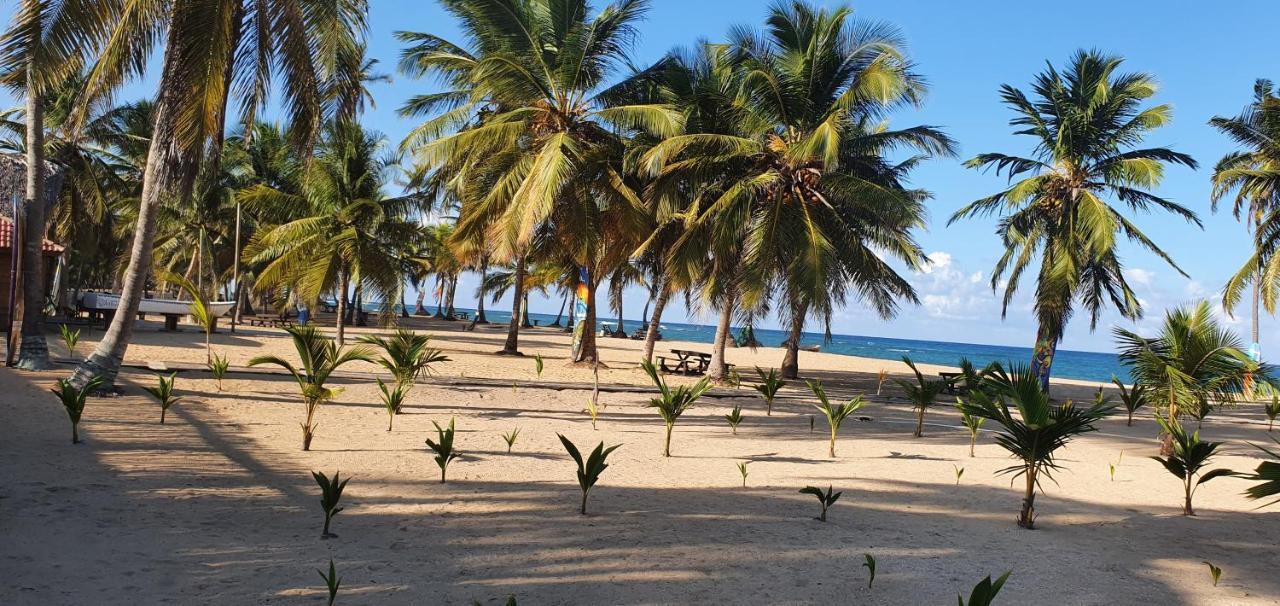 Puntacana Ecolodge Lavacama Beach Costa Arrecife By Aa Crypto Group Punta Cana Ngoại thất bức ảnh