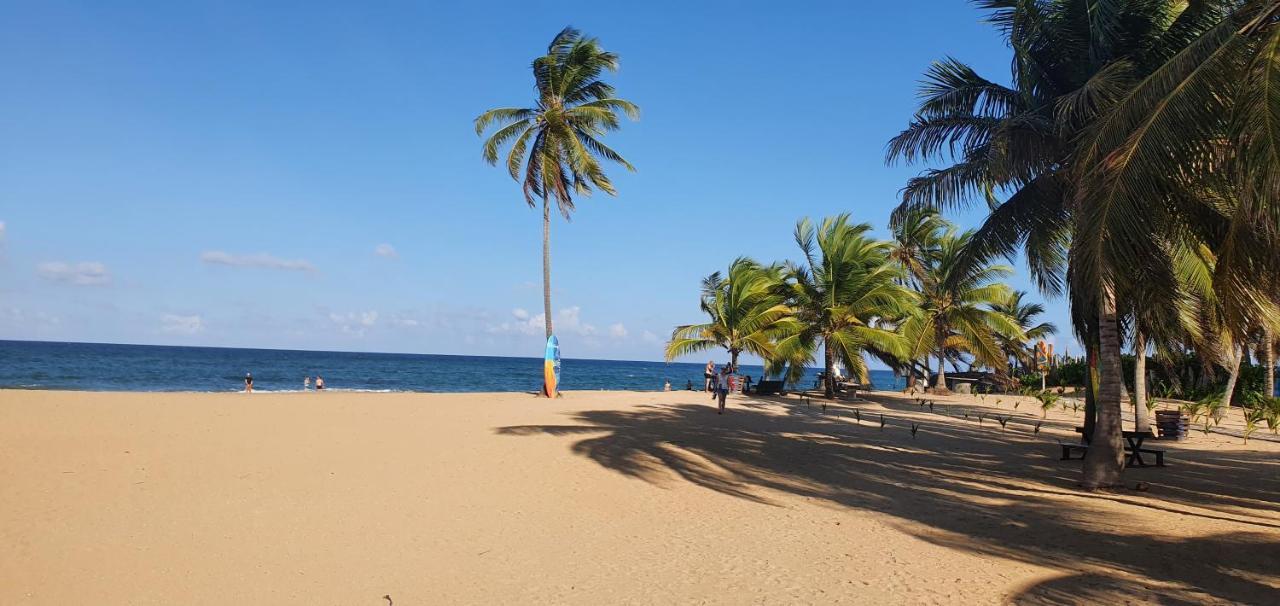 Puntacana Ecolodge Lavacama Beach Costa Arrecife By Aa Crypto Group Punta Cana Ngoại thất bức ảnh