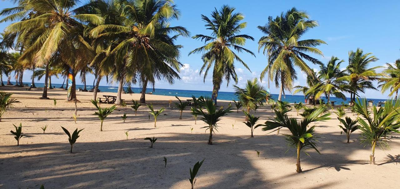 Puntacana Ecolodge Lavacama Beach Costa Arrecife By Aa Crypto Group Punta Cana Ngoại thất bức ảnh