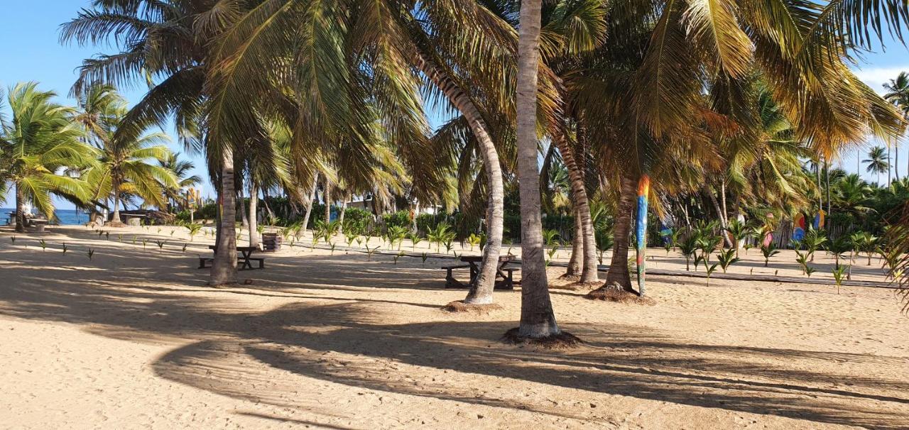 Puntacana Ecolodge Lavacama Beach Costa Arrecife By Aa Crypto Group Punta Cana Ngoại thất bức ảnh