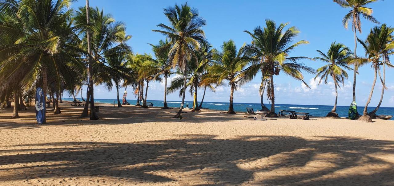 Puntacana Ecolodge Lavacama Beach Costa Arrecife By Aa Crypto Group Punta Cana Ngoại thất bức ảnh