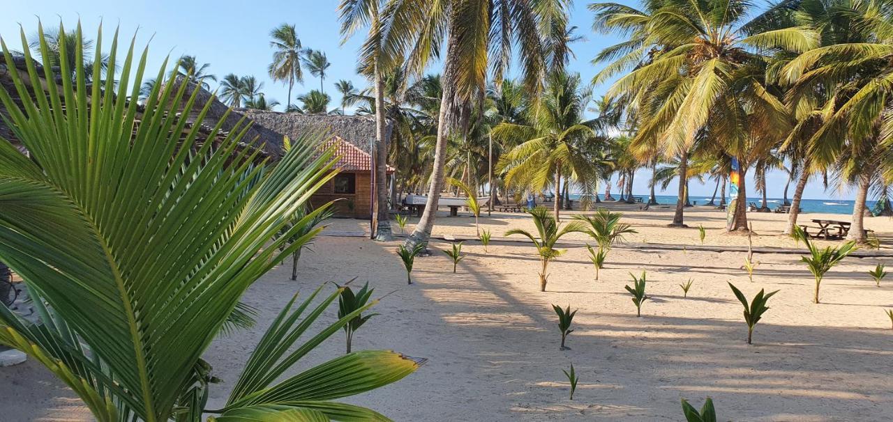 Puntacana Ecolodge Lavacama Beach Costa Arrecife By Aa Crypto Group Punta Cana Ngoại thất bức ảnh