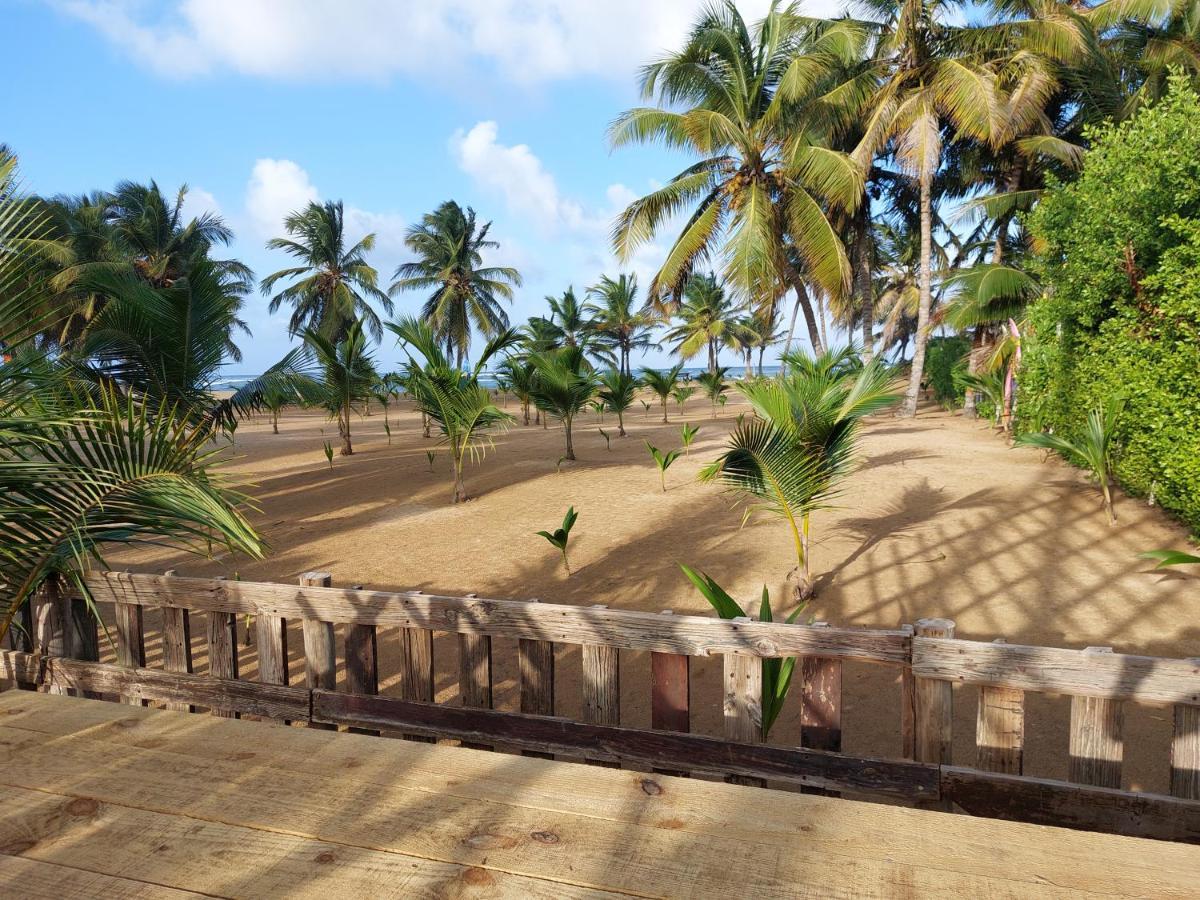 Puntacana Ecolodge Lavacama Beach Costa Arrecife By Aa Crypto Group Punta Cana Ngoại thất bức ảnh