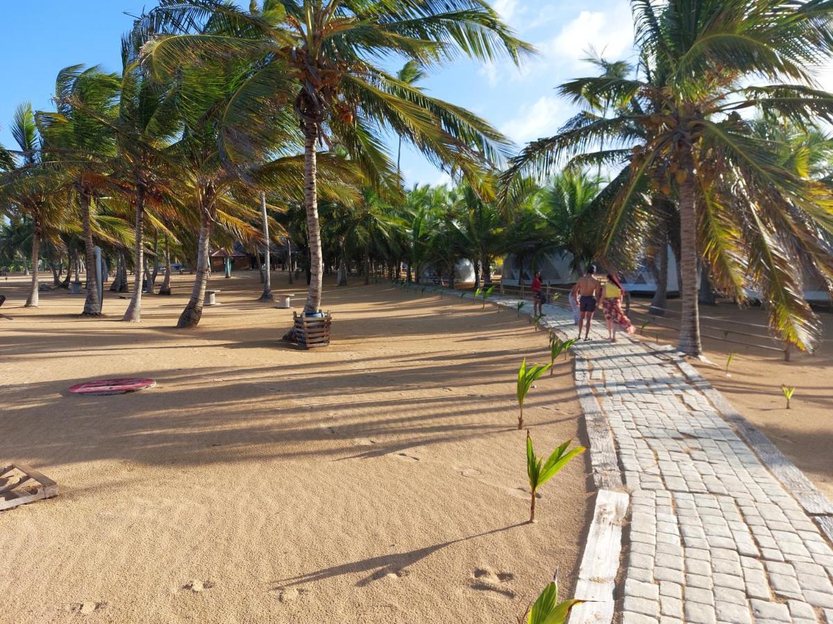 Puntacana Ecolodge Lavacama Beach Costa Arrecife By Aa Crypto Group Punta Cana Ngoại thất bức ảnh