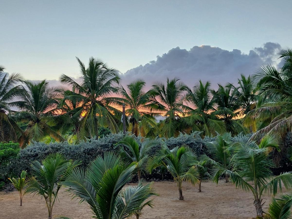 Puntacana Ecolodge Lavacama Beach Costa Arrecife By Aa Crypto Group Punta Cana Ngoại thất bức ảnh