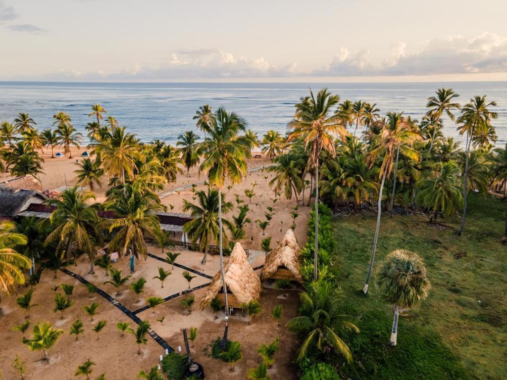 Puntacana Ecolodge Lavacama Beach Costa Arrecife By Aa Crypto Group Punta Cana Ngoại thất bức ảnh