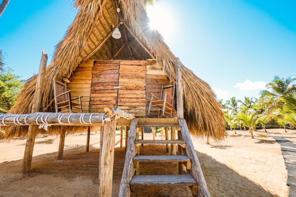 Puntacana Ecolodge Lavacama Beach Costa Arrecife By Aa Crypto Group Punta Cana Ngoại thất bức ảnh