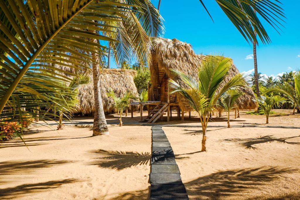 Puntacana Ecolodge Lavacama Beach Costa Arrecife By Aa Crypto Group Punta Cana Ngoại thất bức ảnh