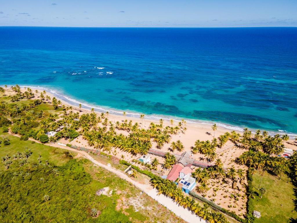 Puntacana Ecolodge Lavacama Beach Costa Arrecife By Aa Crypto Group Punta Cana Ngoại thất bức ảnh